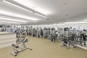 image Ocean One9