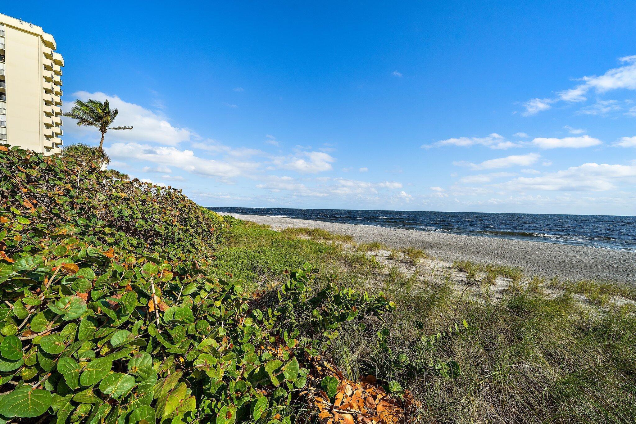 100 Ocean Trl #609 Jupiter, FL 33477