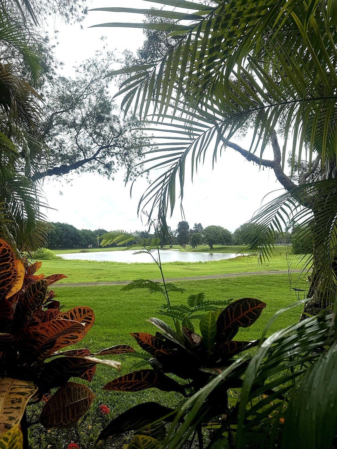 301 SW 158th #104 Pembroke Pines, FL 33027