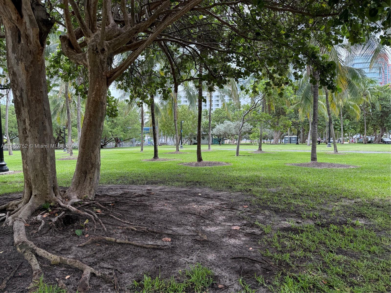 301 Ocean Dr #505 Miami Beach, FL 33139