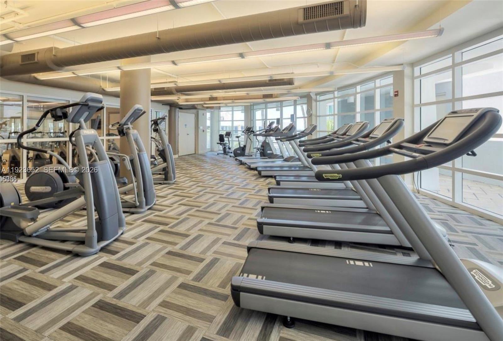 image Vizcayne South13