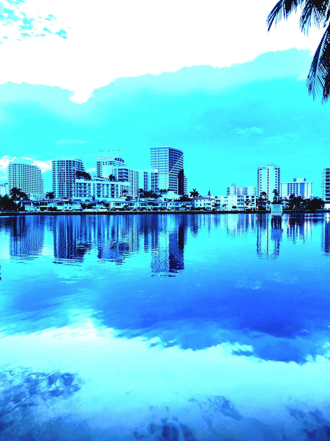 2617 Aqua Vis Fort Lauderdale, FL 33301