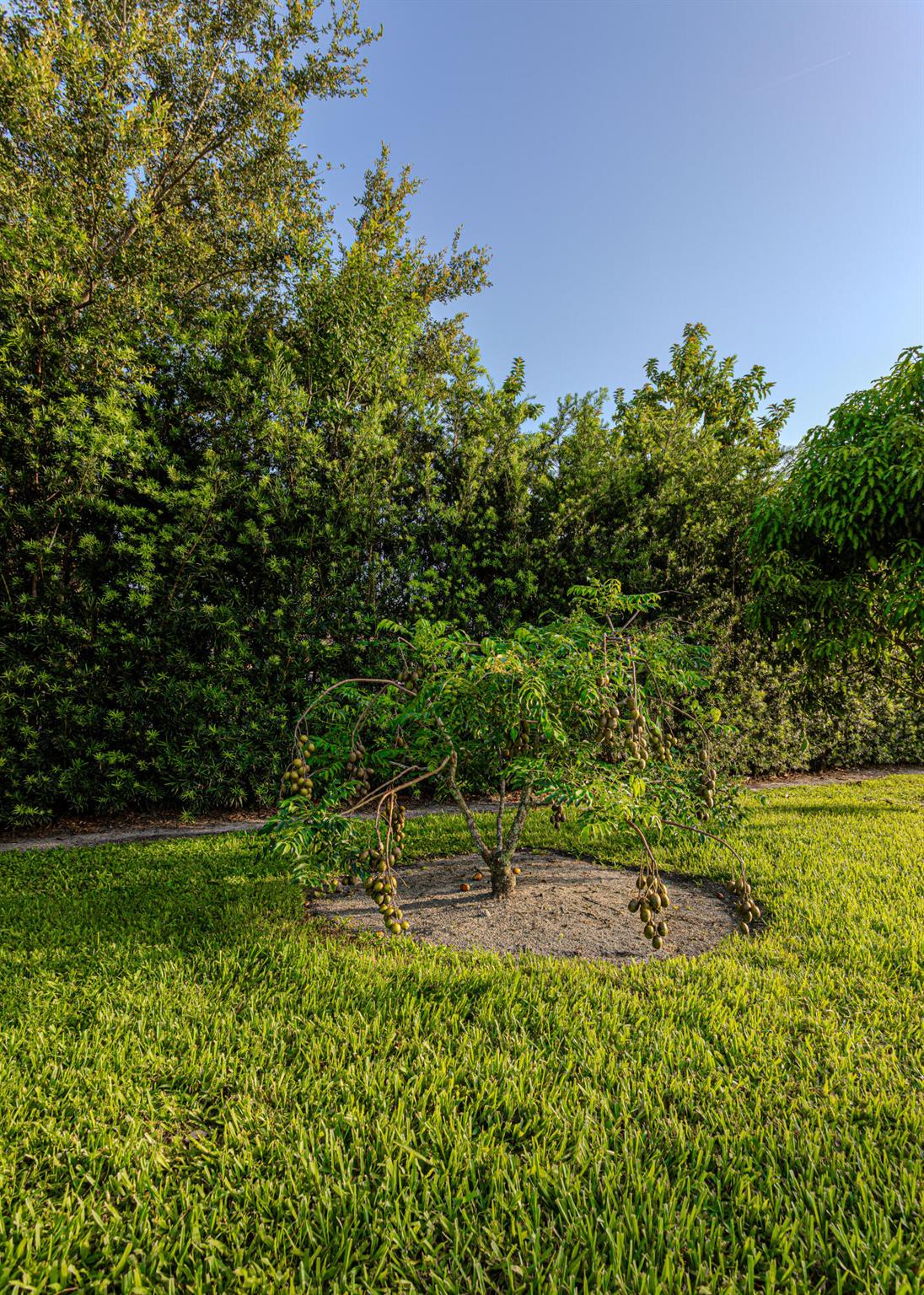 875 NW 120th Ave Plantation, FL 33325