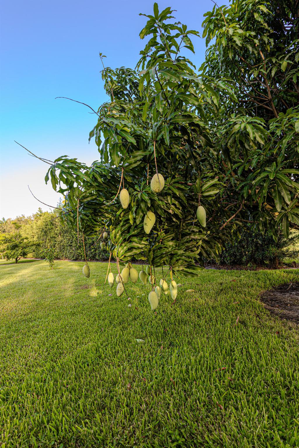 875 NW 120th Ave Plantation, FL 33325