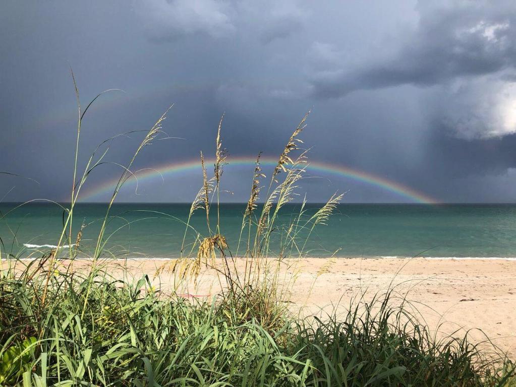 1203 Hillsboro Mile #5b Hillsboro Beach, FL 33062