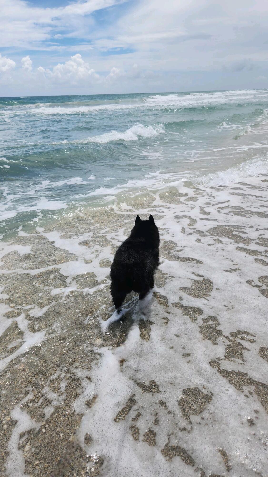 1472 Via Cameron Jupiter, FL 33477