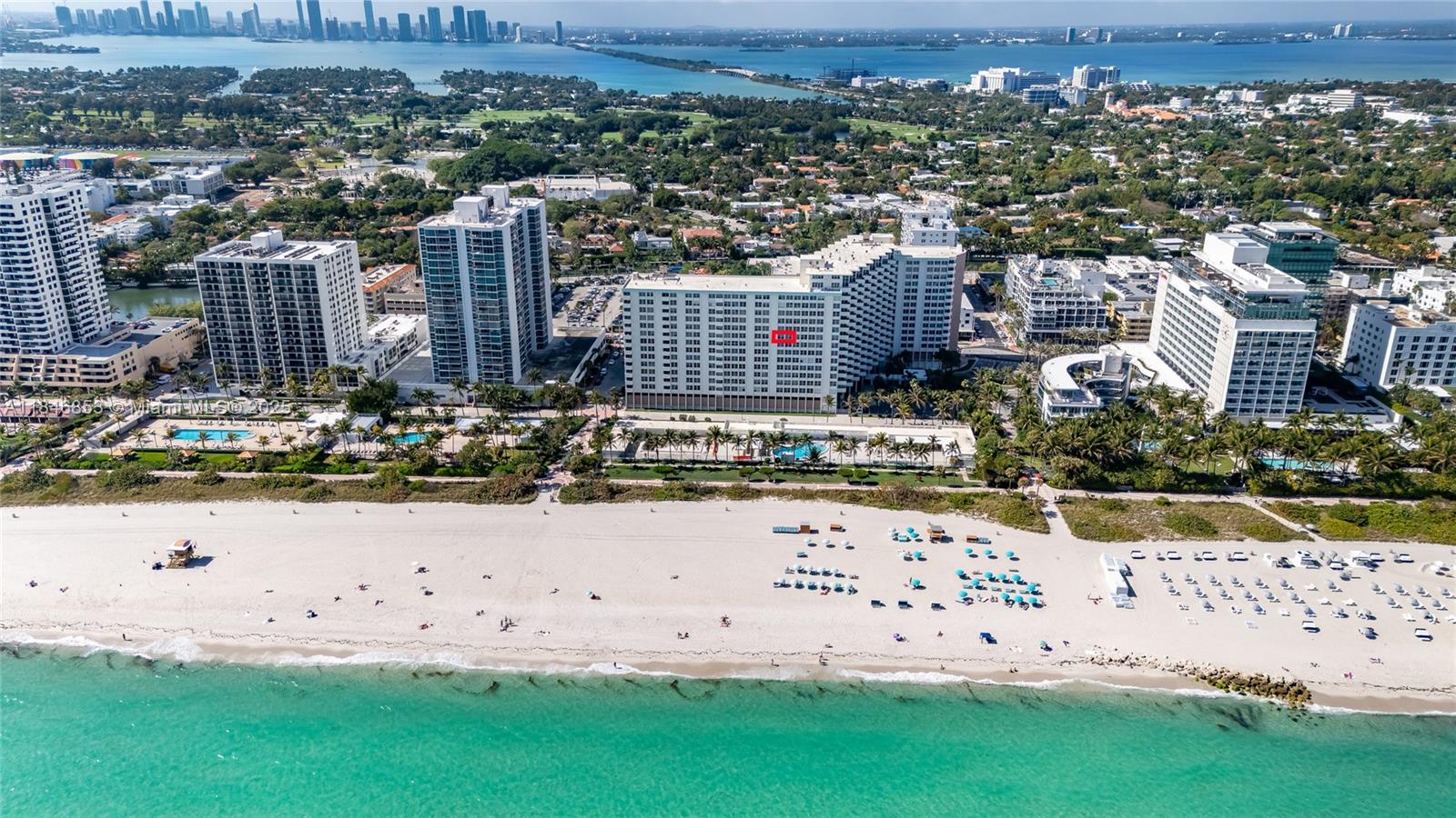 2899 Collins Ave #833