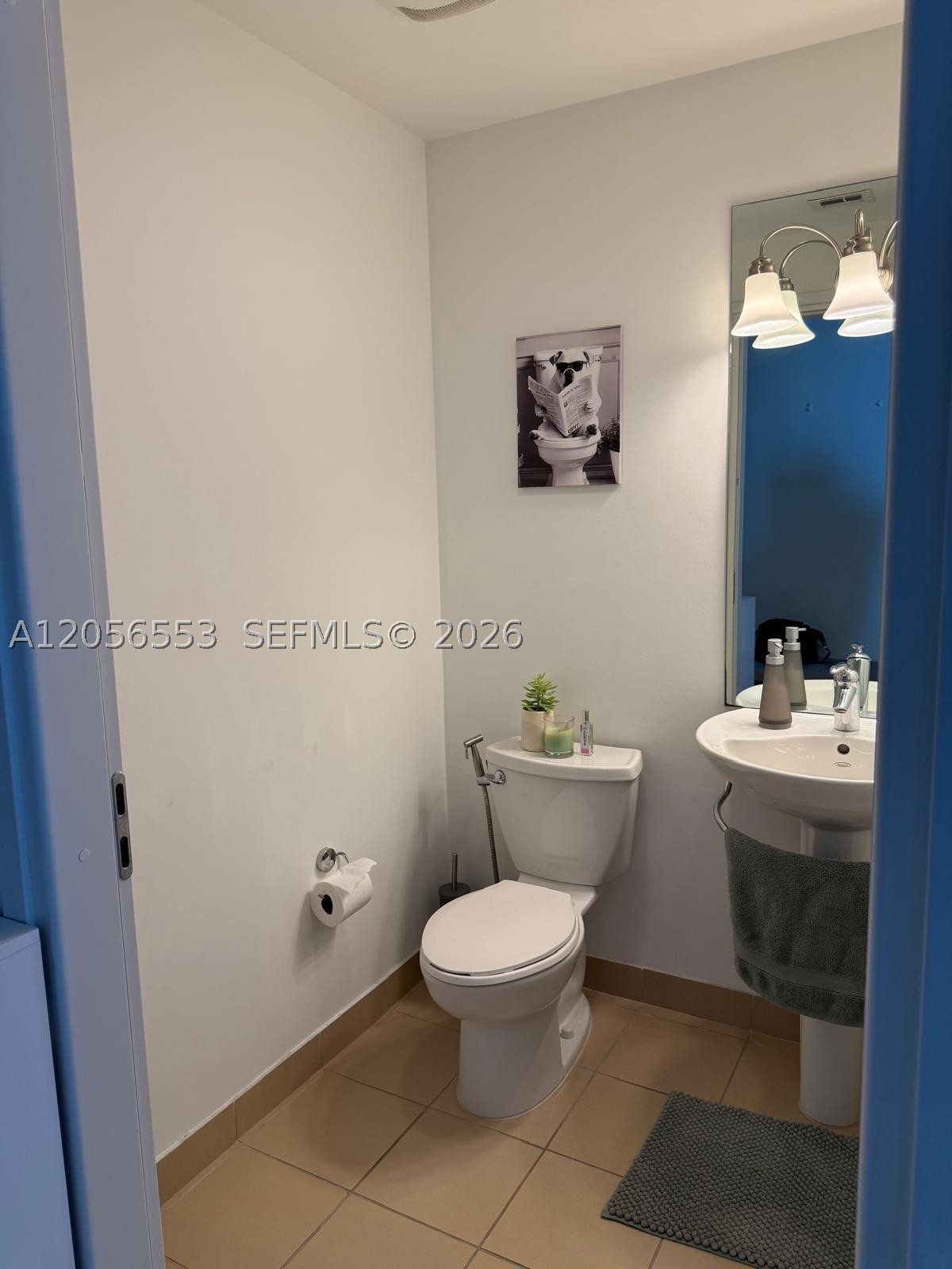 image Met 19
