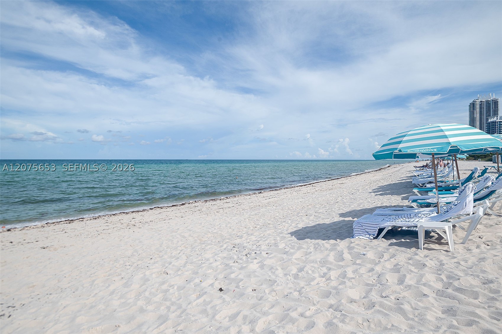 6799 Collins Ave #510 Miami Beach, FL 33141