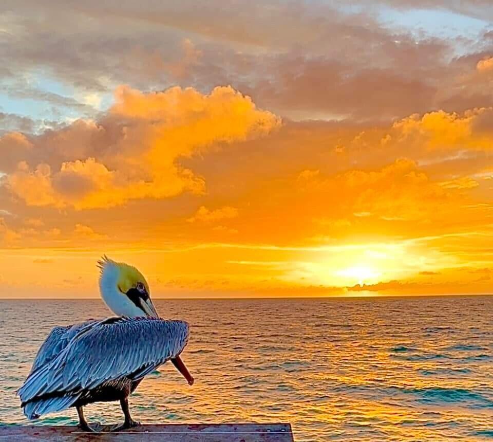 328 N Ocean #902 Pompano Beach, FL 33062