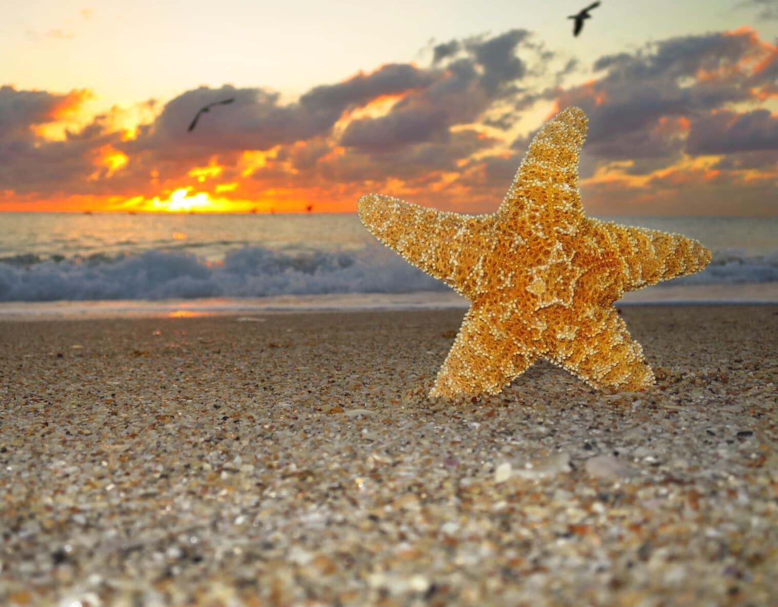 328 N Ocean #902 Pompano Beach, FL 33062