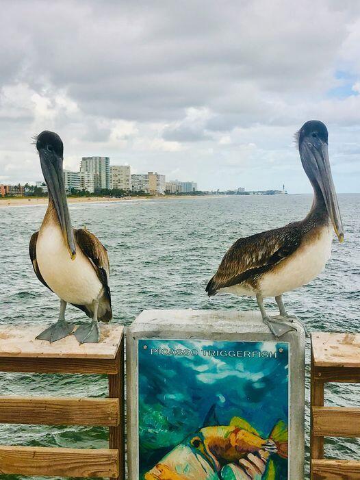 328 N Ocean #902 Pompano Beach, FL 33062