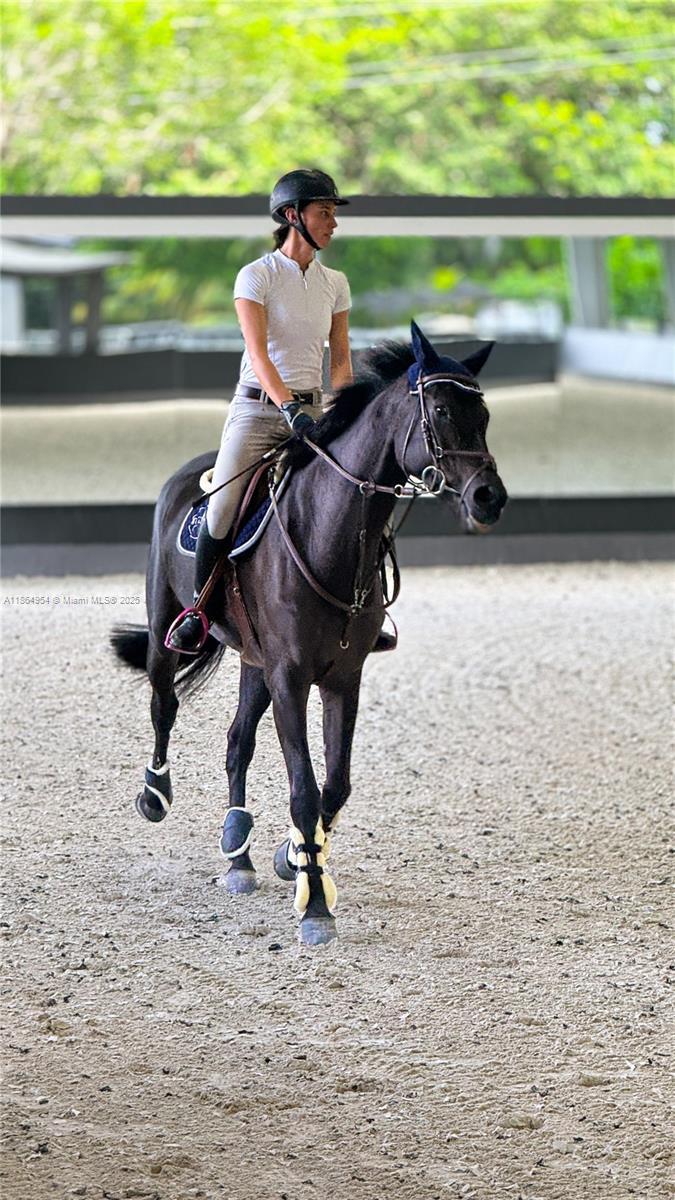 2625 SW 148th Ave Davie, FL 33331