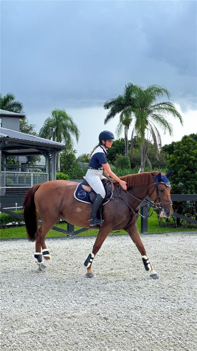 2625 SW 148th Ave Davie, FL 33331