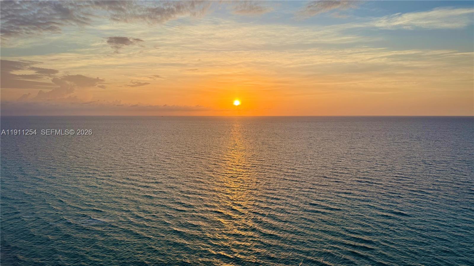 image Trump Tower I13