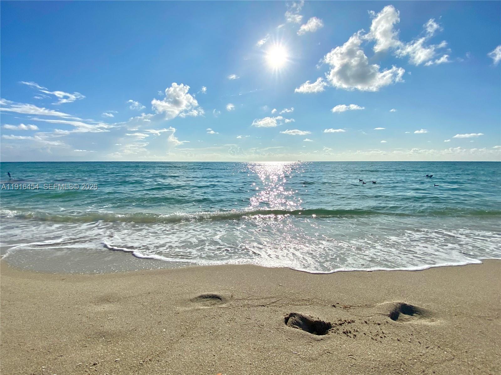 1000 Parkview Dr #518 Hallandale Beach, FL 33009