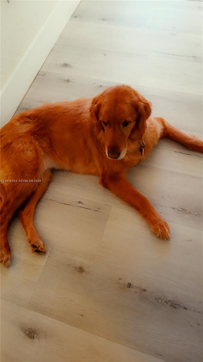 Undisclosed Address Hialeah, FL 33018