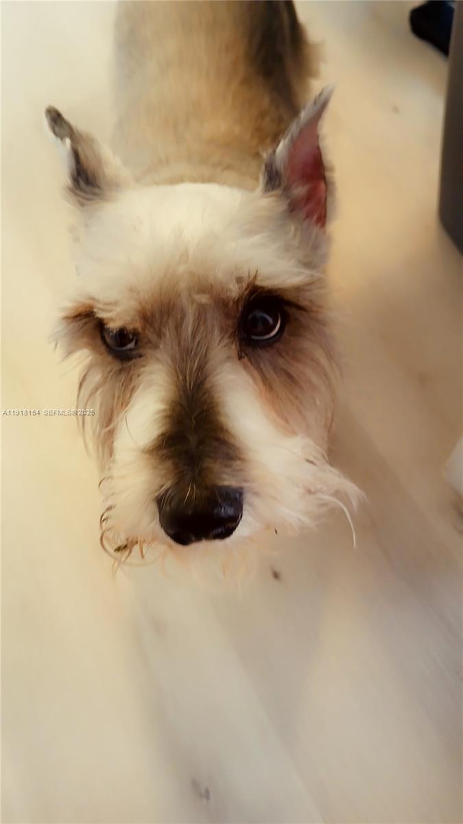 Undisclosed Address Hialeah, FL 33018