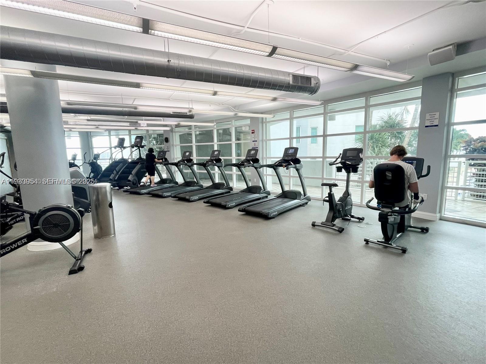 image Vizcayne South50