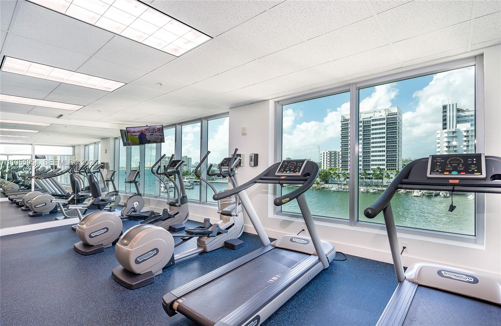 image Eloquence on the Bay41