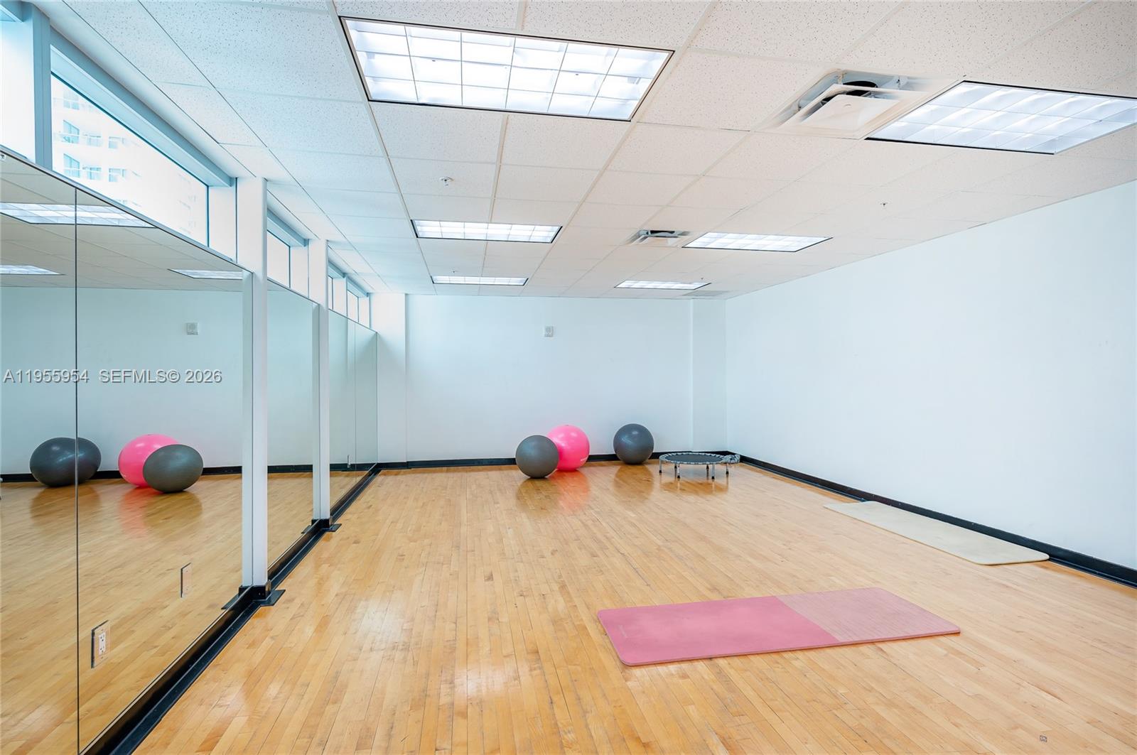 image Eloquence on the Bay43