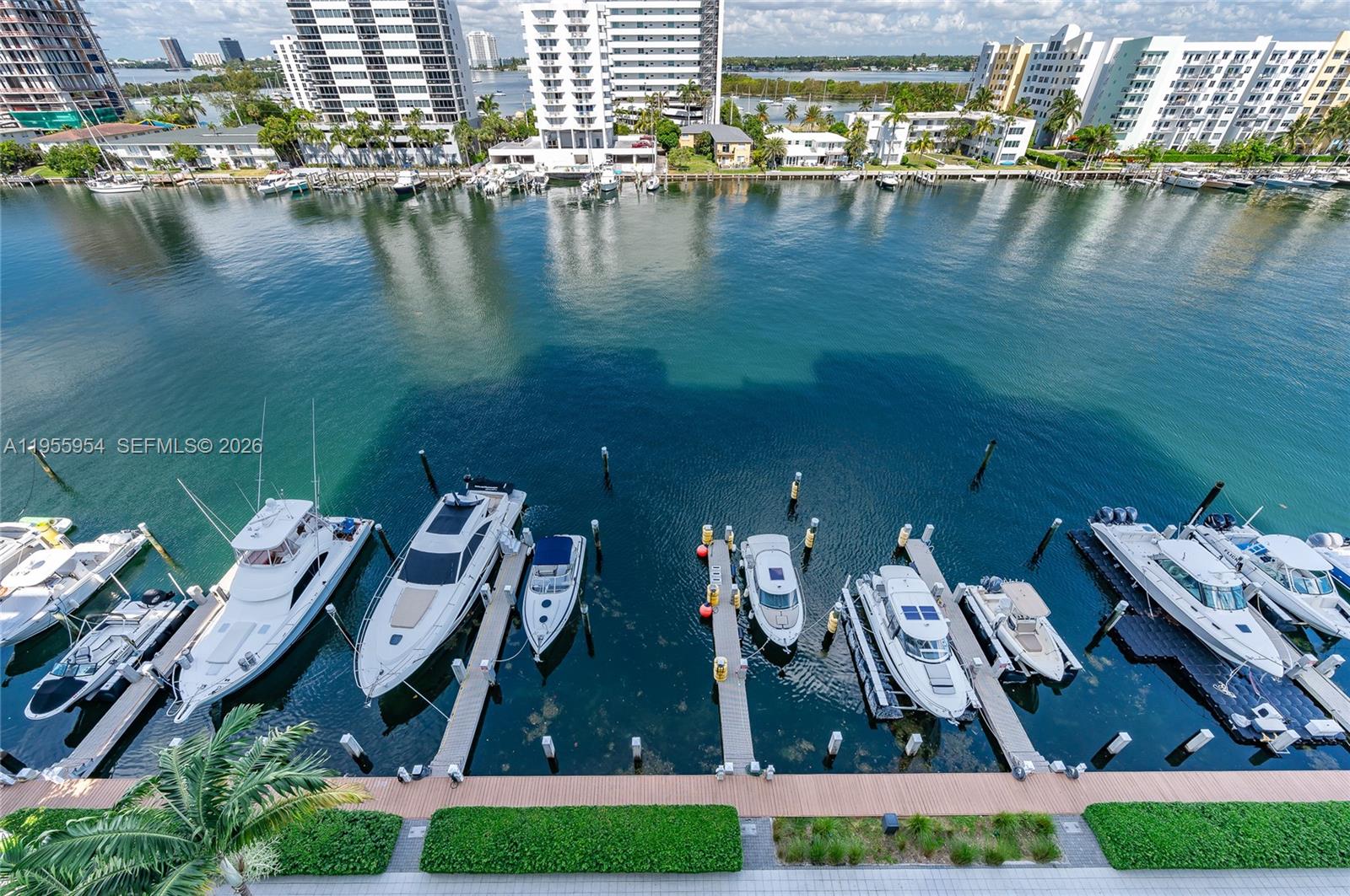 image Eloquence on the Bay52