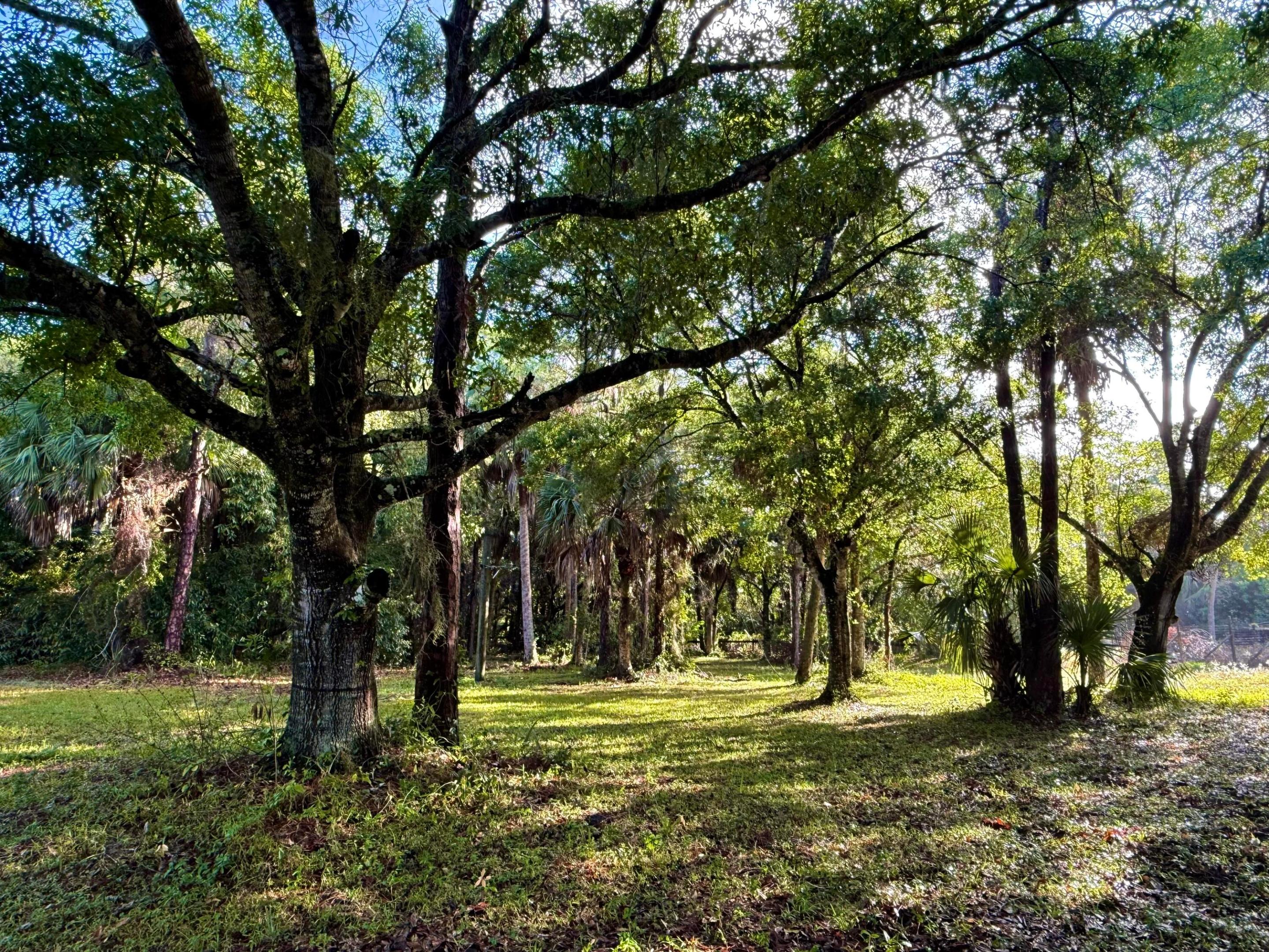 18122 Burr Oak Jupiter, FL 33478