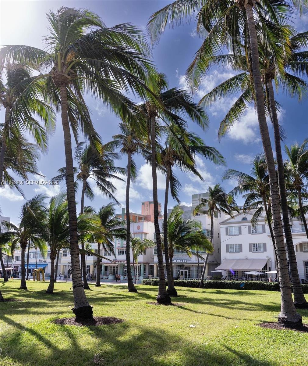 1455 Ocean Dr #1211 Miami Beach, FL 33139