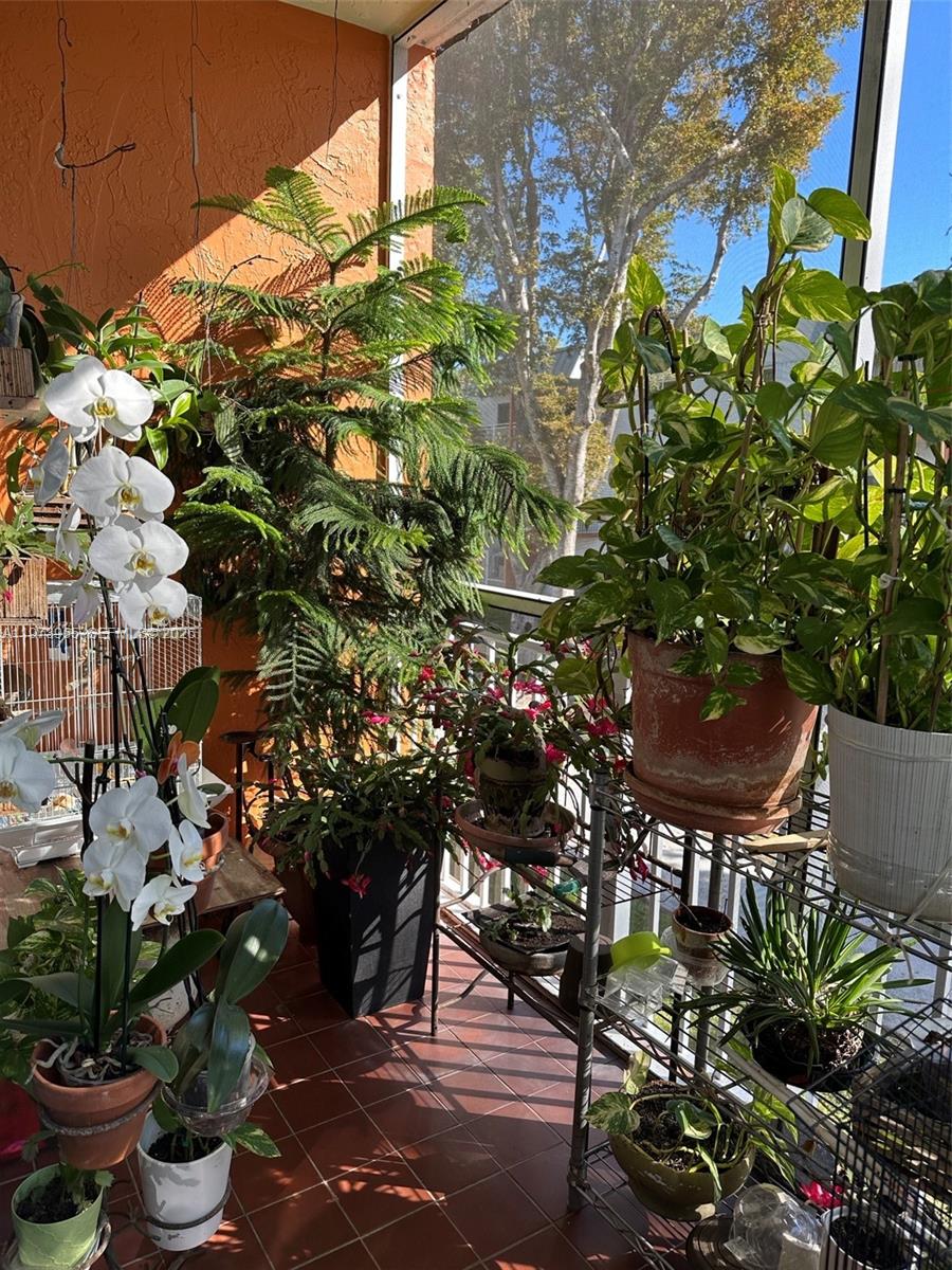 11307 SW 200th St #B-202 Miami, FL 33157