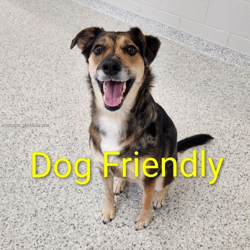 3304 Virginia St #3D Miami, FL 33133