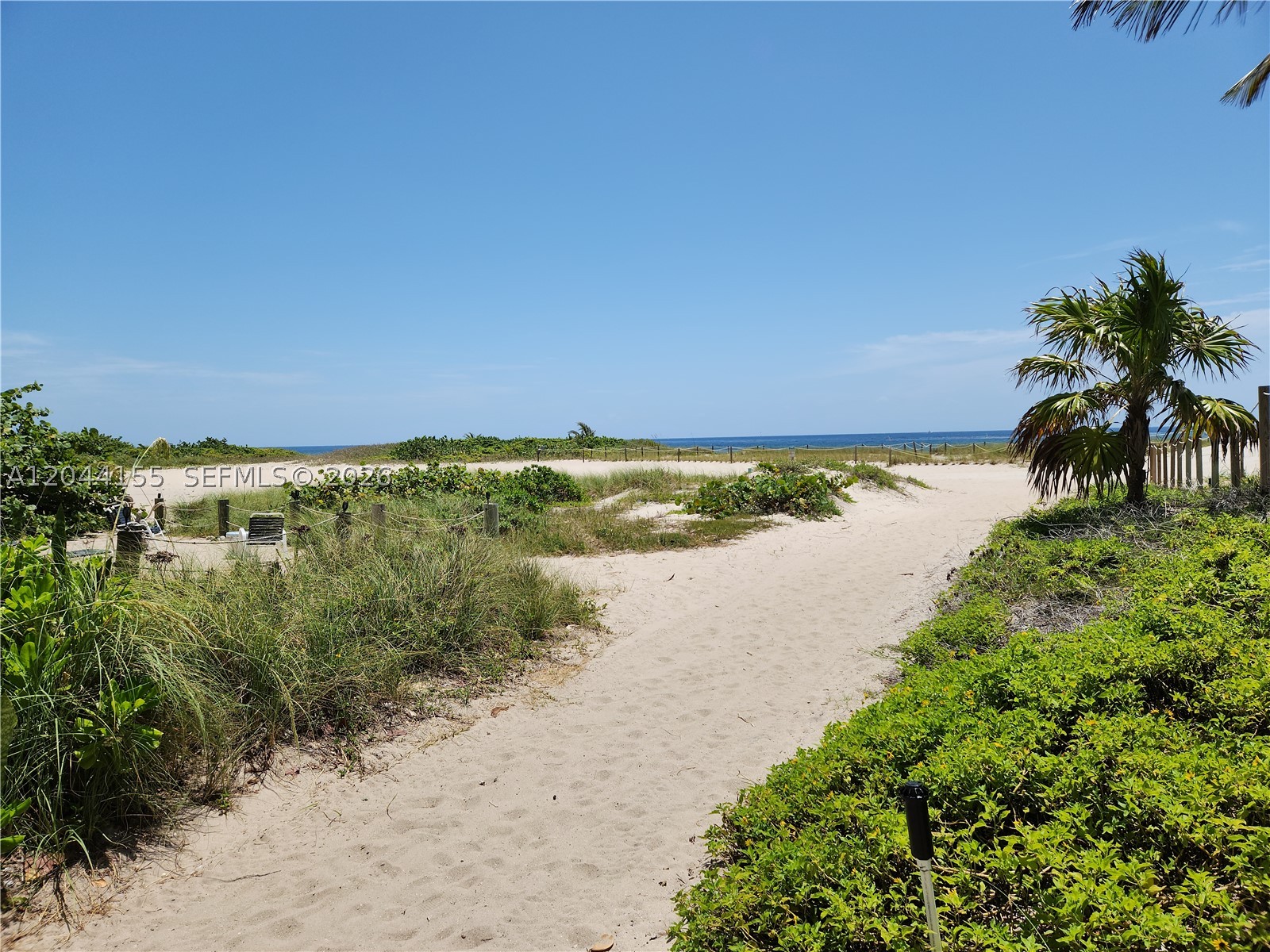 1009 N Ocean Blvd #411