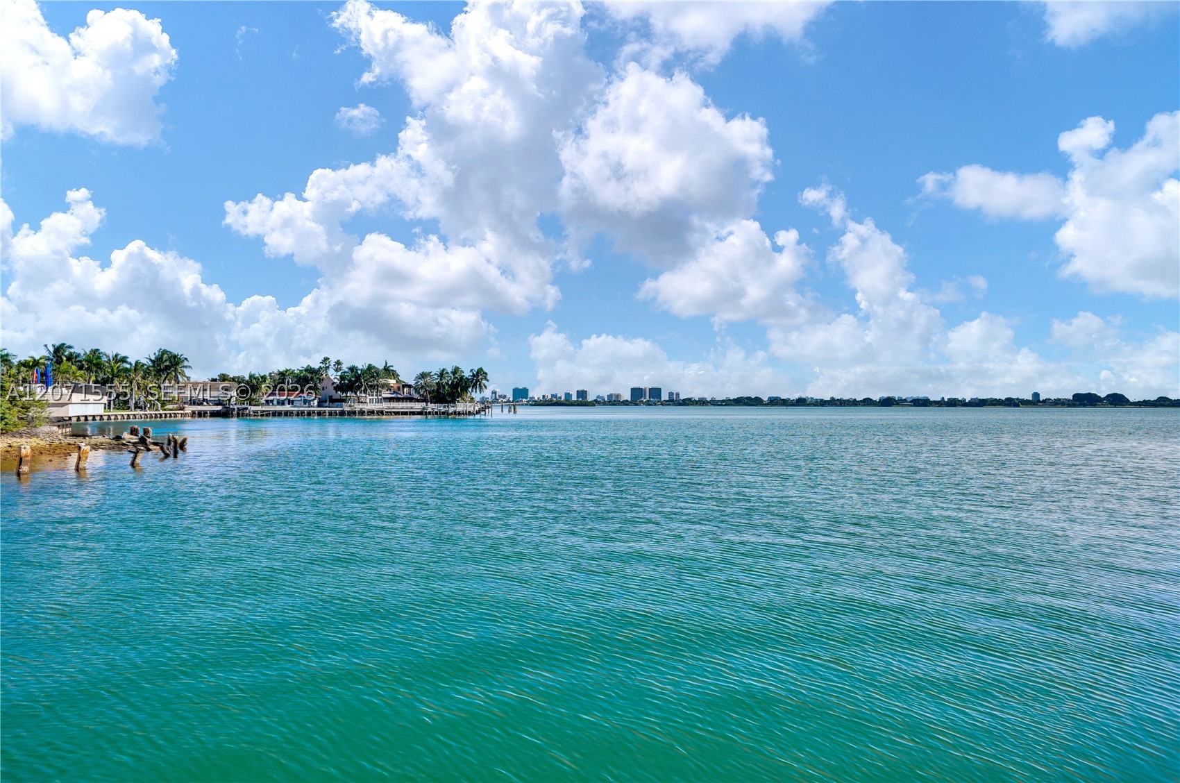 11111 Biscayne Blvd #1000
