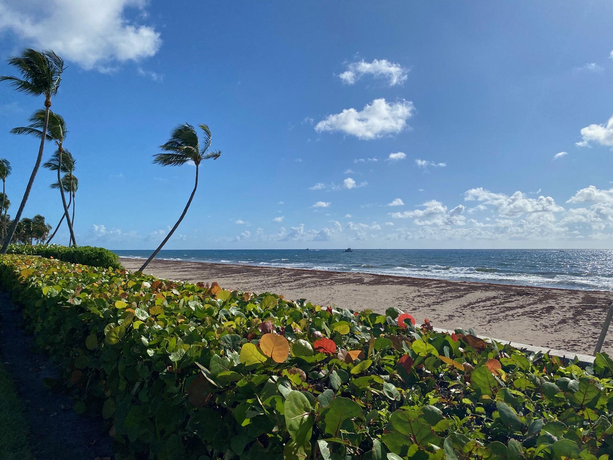 109 Via Vizcaya Palm Beach, FL 33480