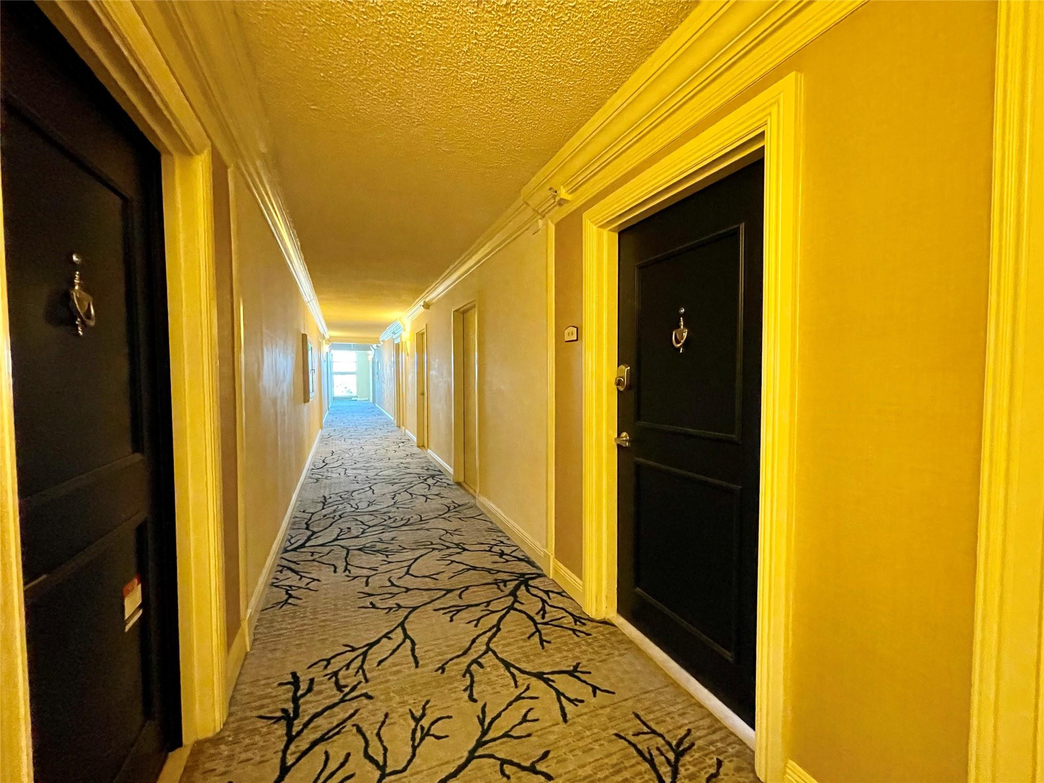 1900 S Ocean #10g Lauderdale By The Sea, FL 33062