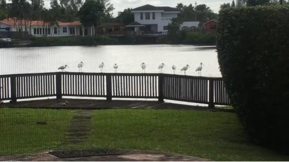 2390 NE 199th St Aventura, FL 33180