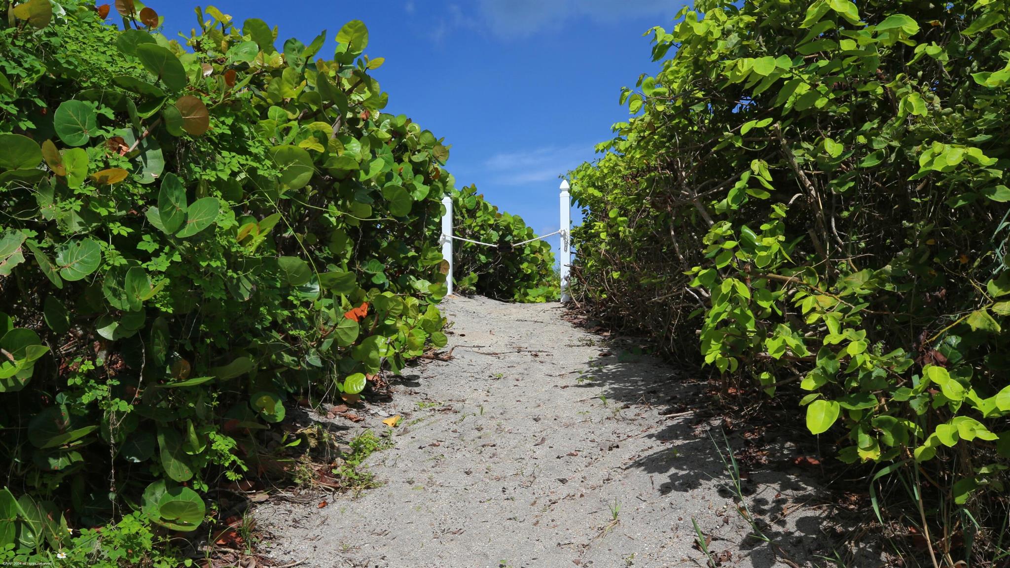 162 N Beach Rd Jupiter Island, FL 33455