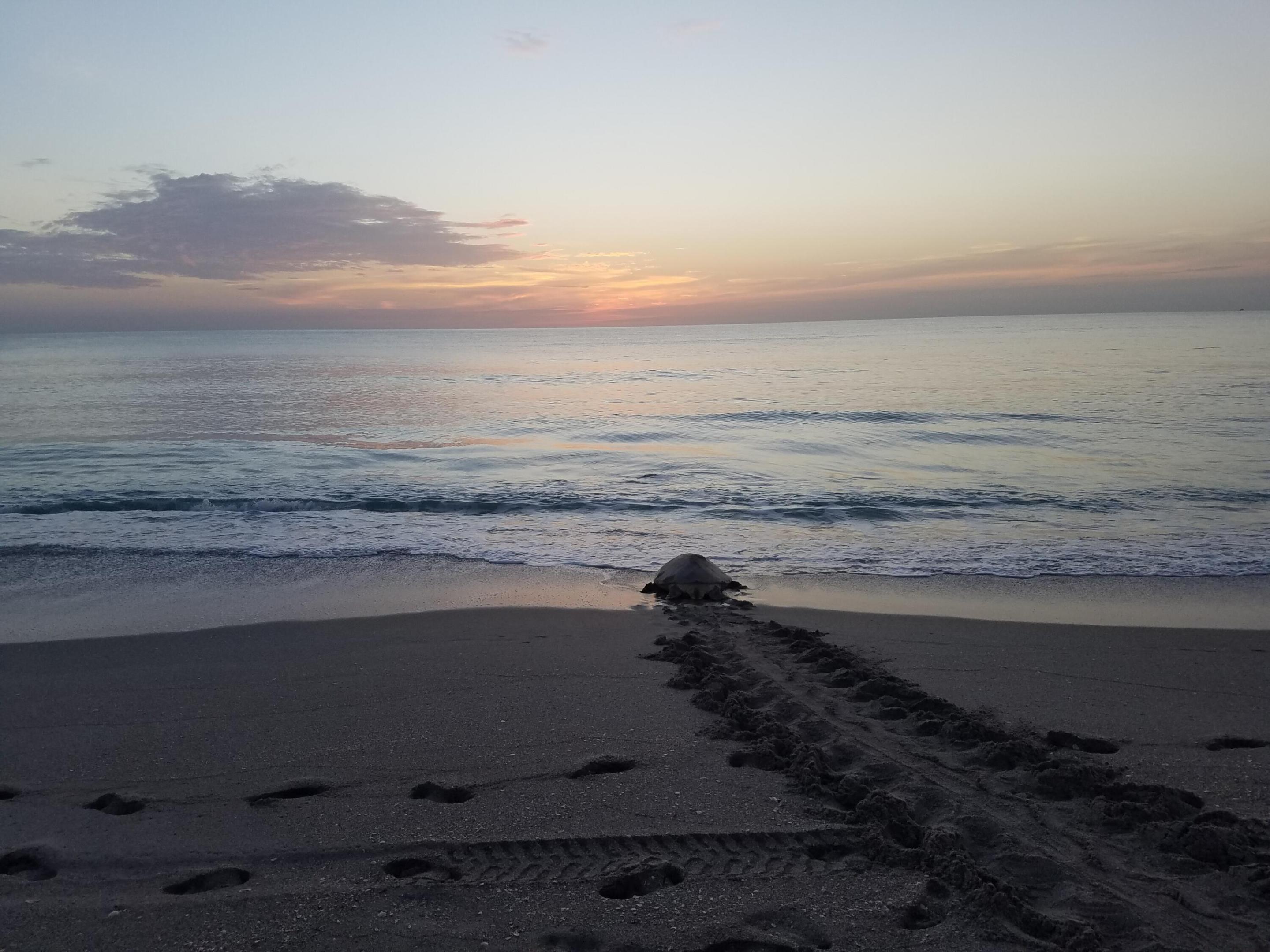 438 River Edge Jupiter, FL 33477