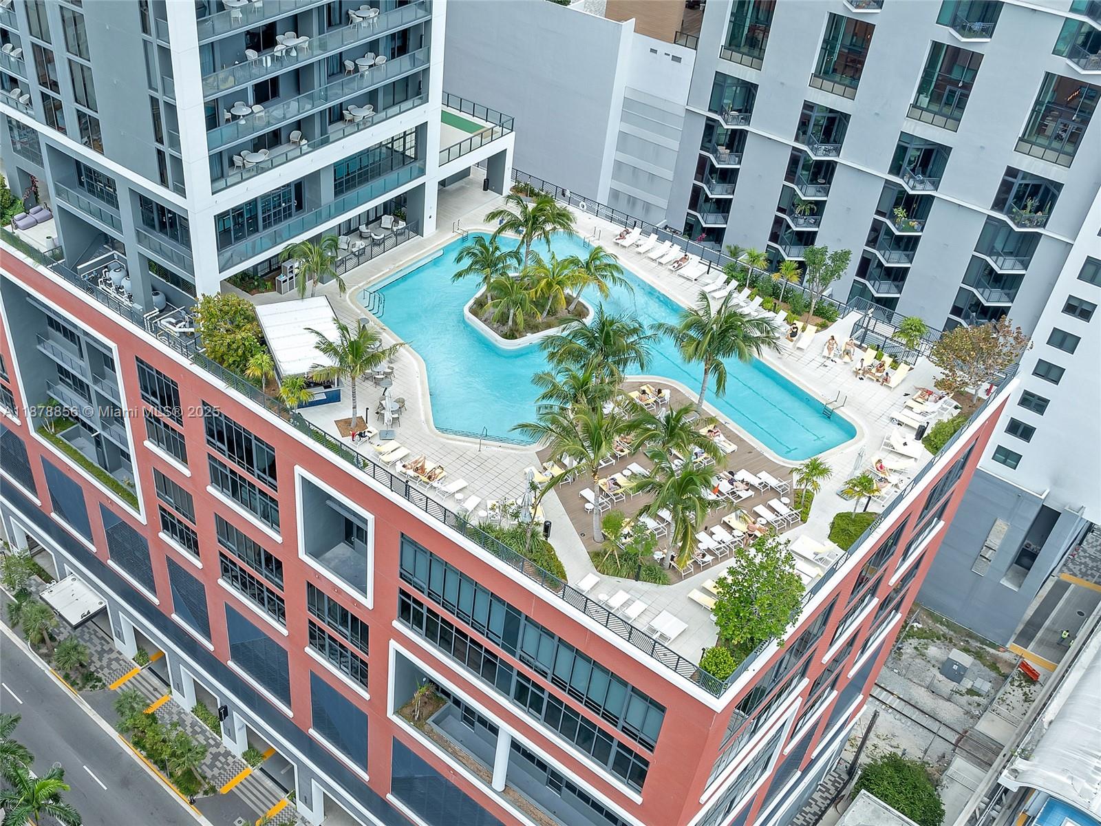 image Natiivo / Gale Miami11