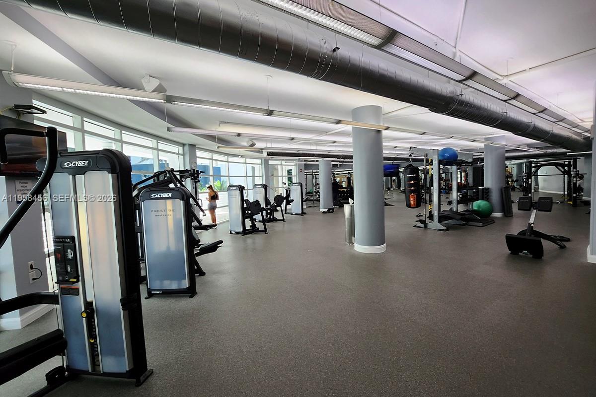 image Vizcayne South26