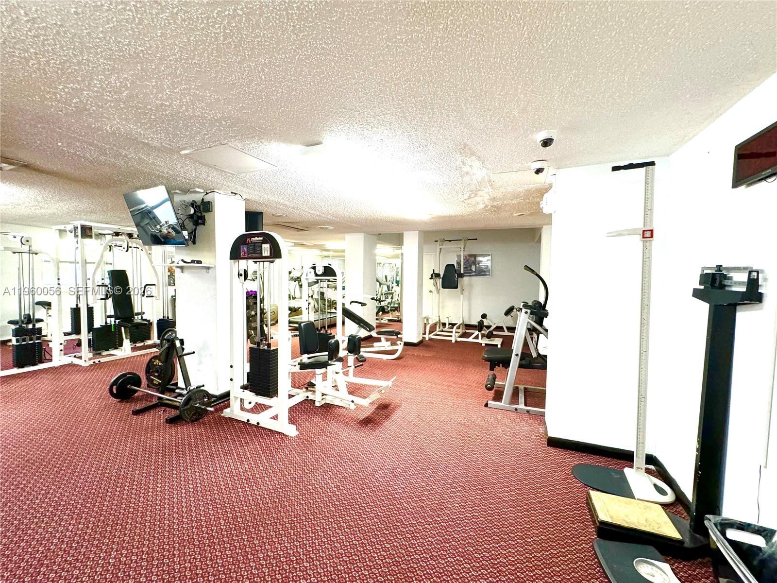 230 174th St #507 Sunny Isles Beach, FL 33160