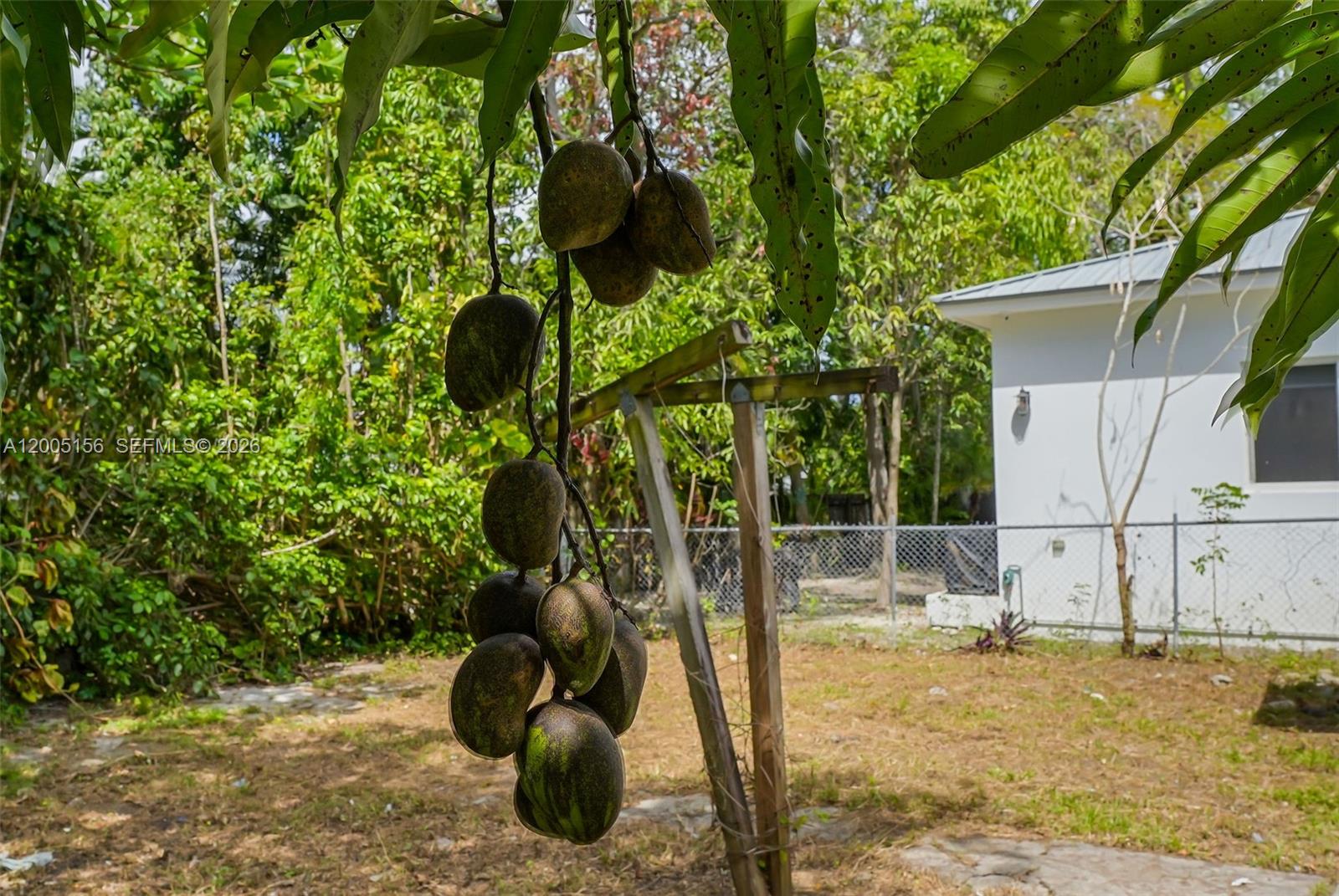 3637 Frow Ave Miami, FL 33133