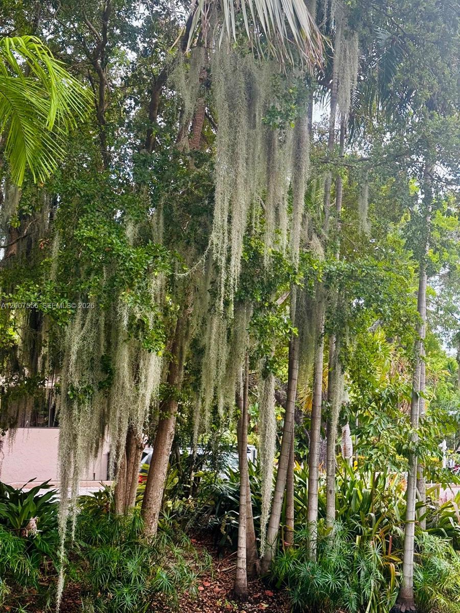 image Botanica at Key Colony37