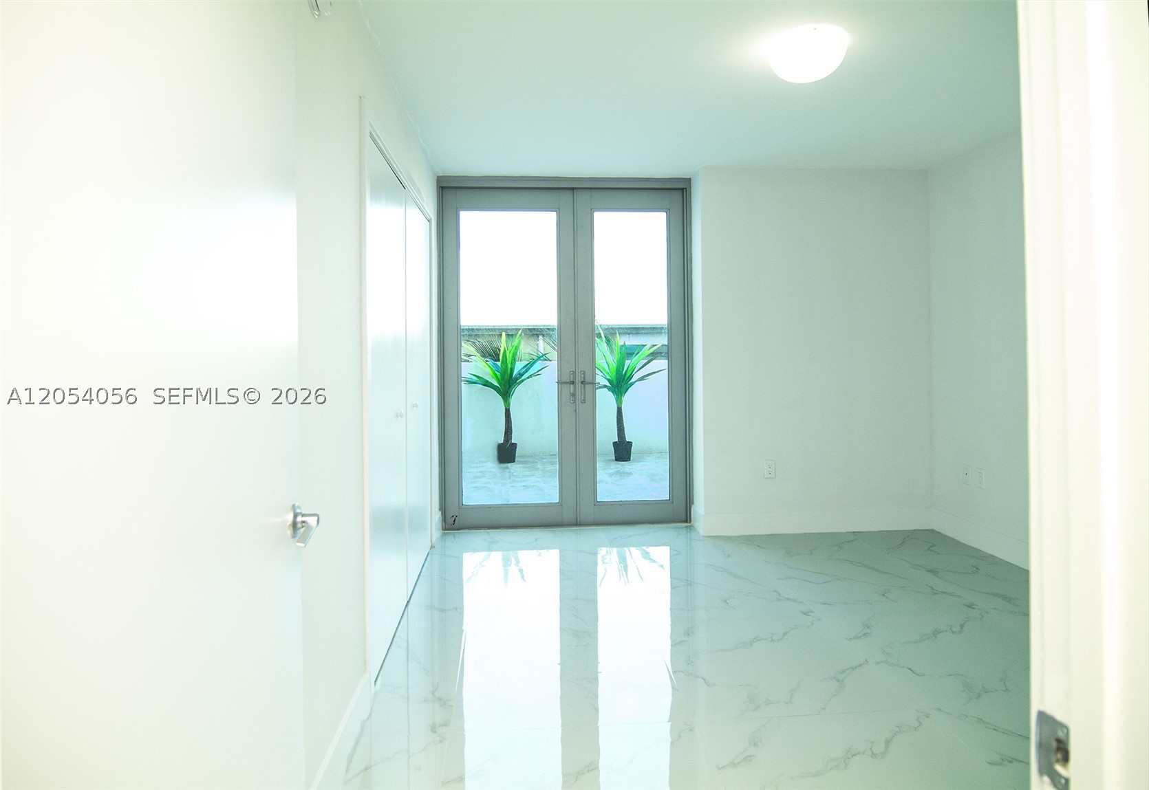 image The Palms9