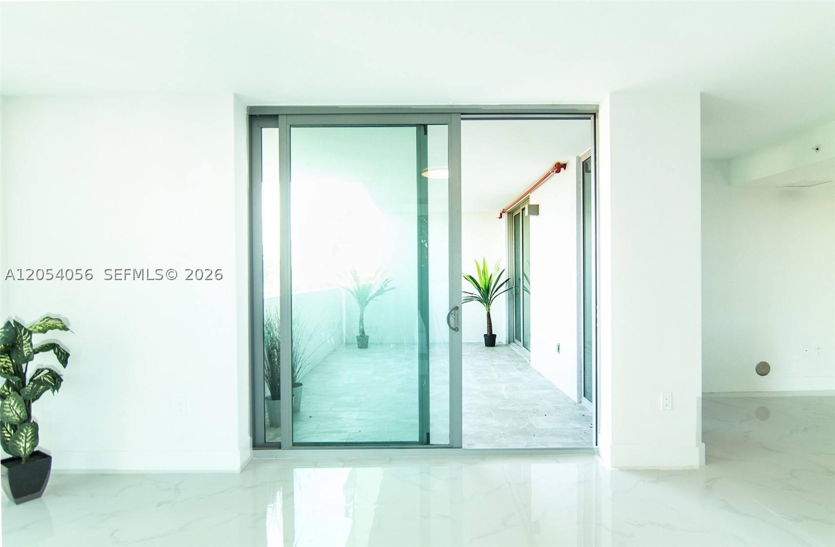 image The Palms21