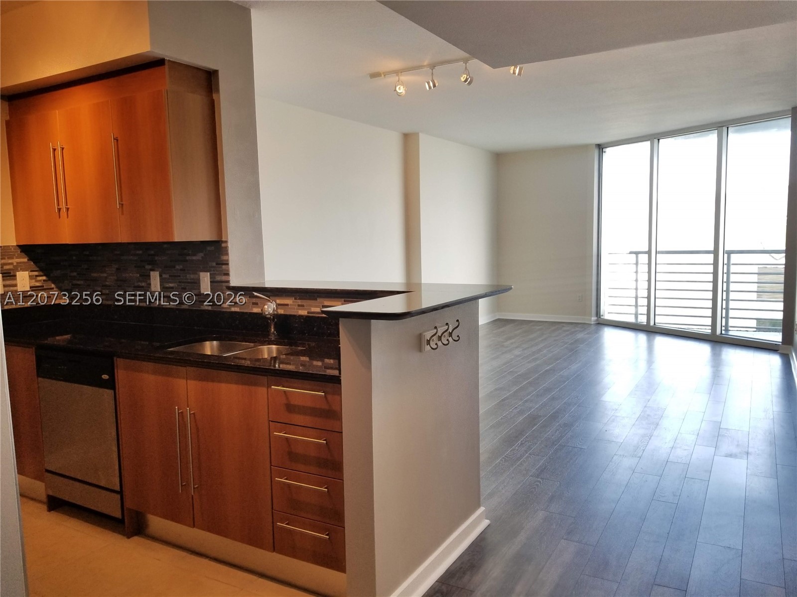 335 S Biscayne Blvd #3802
