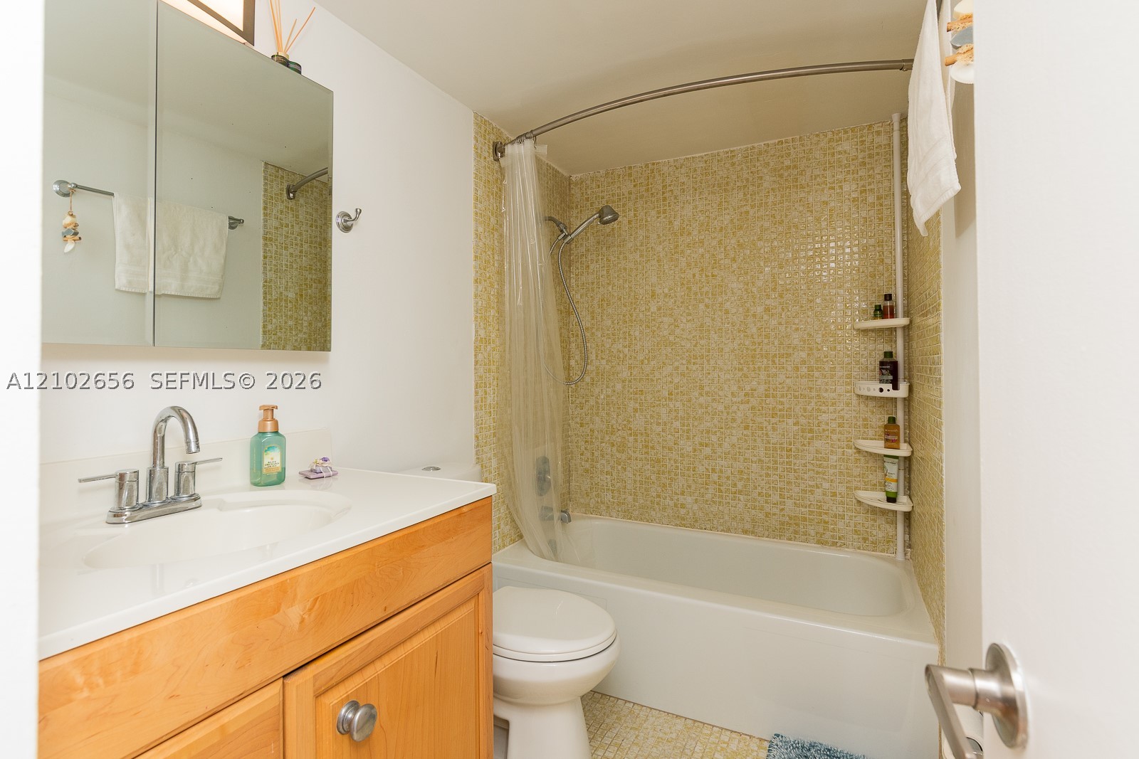 1020 Meridian Ave #314 Miami Beach, FL 33139