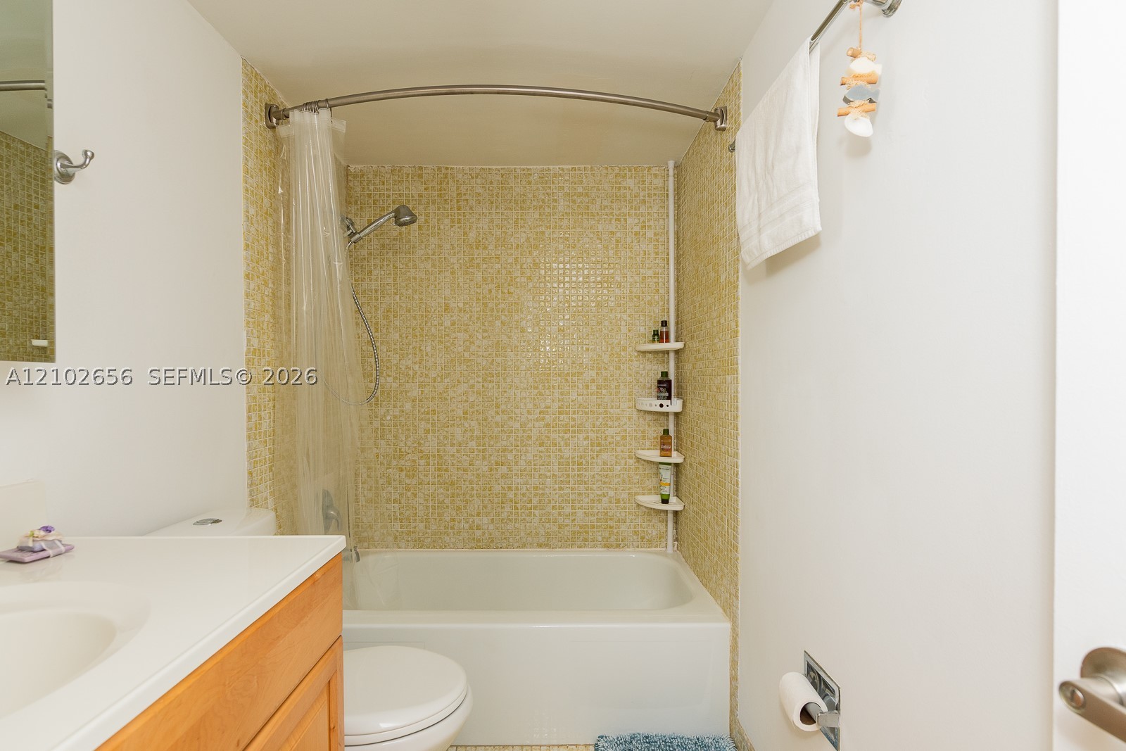 1020 Meridian Ave #314 Miami Beach, FL 33139