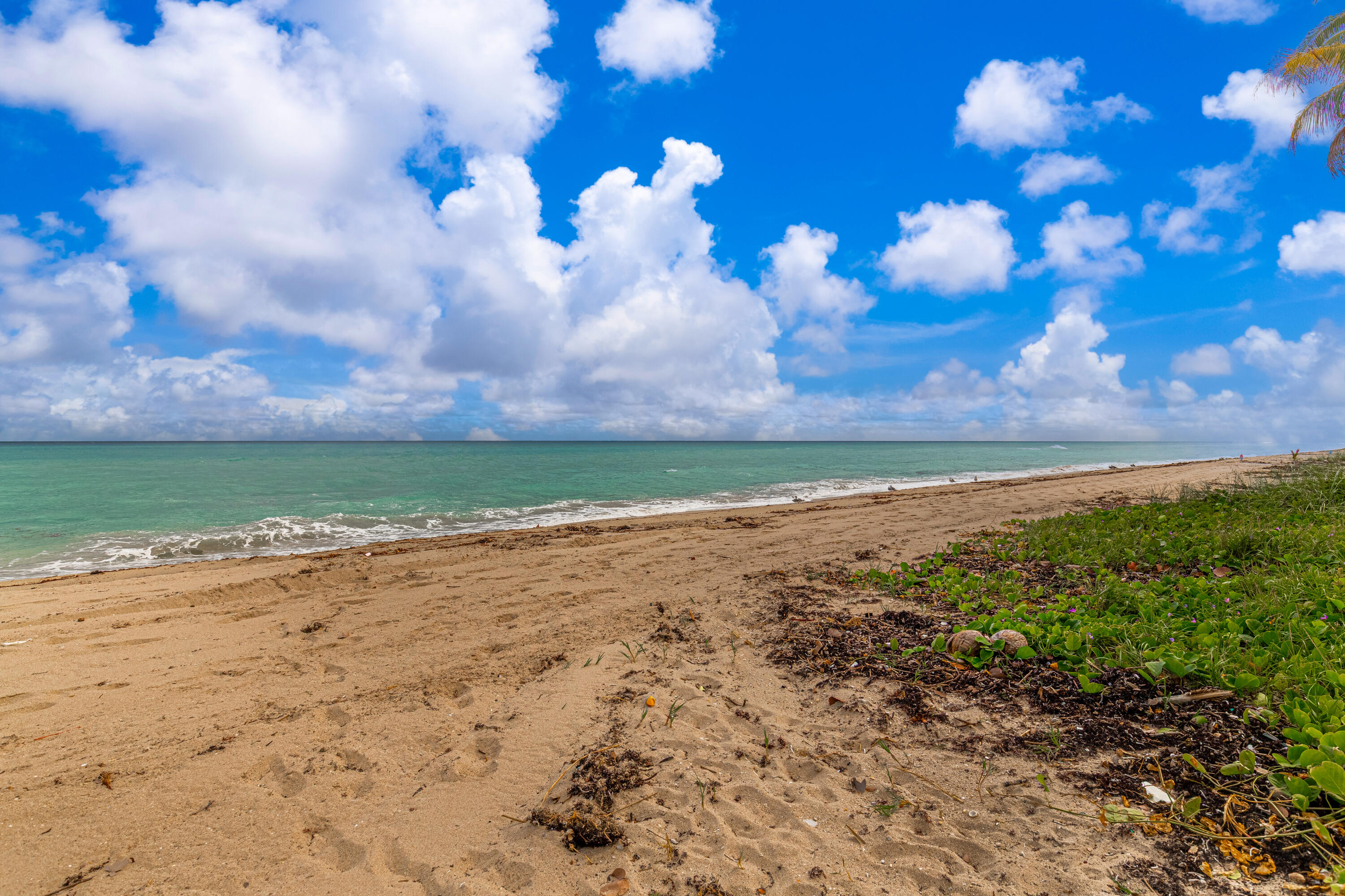 3475 S Ocean Blvd #201 Palm Beach, FL 33480