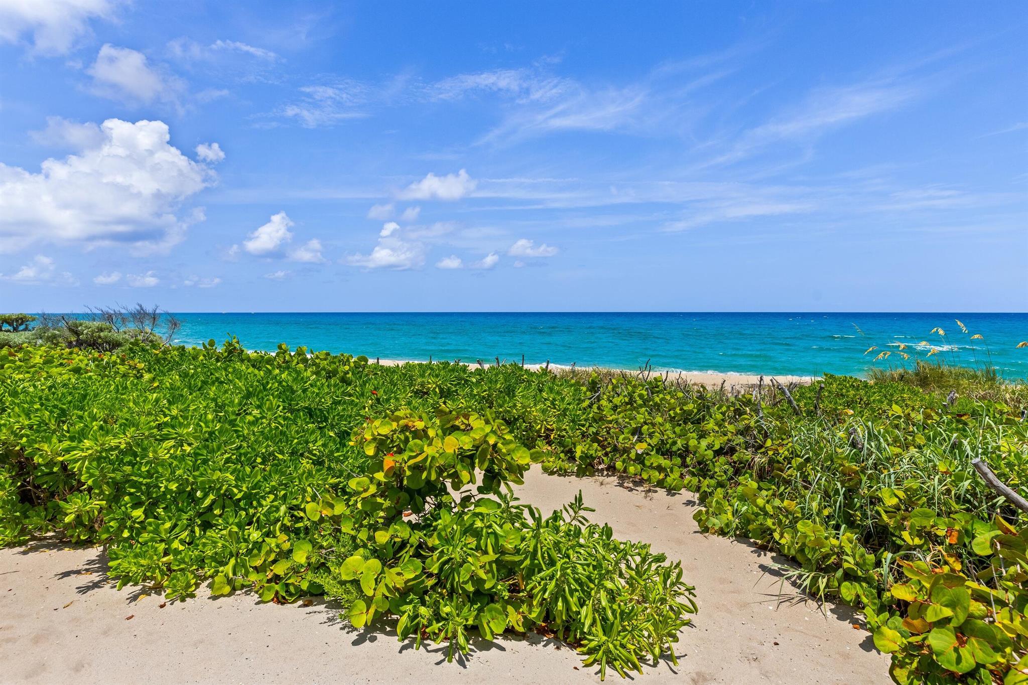 1660 S Ocean Blvd Manalapan, FL 33462