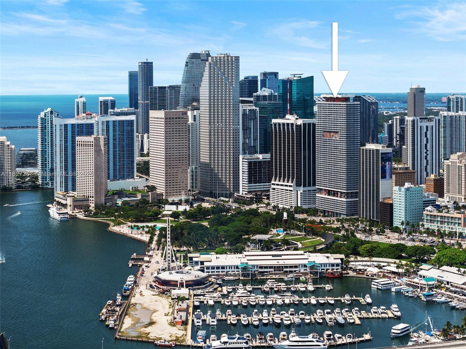 image 50 Biscayne24